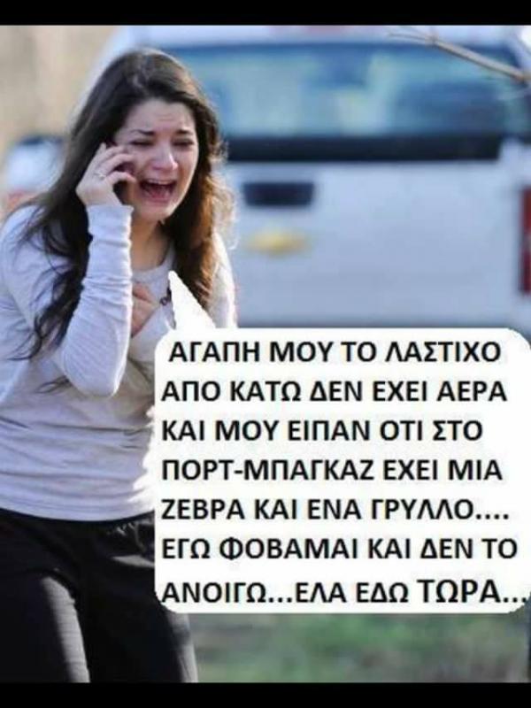 Η Ζέβρα και ο Γρύλλος...